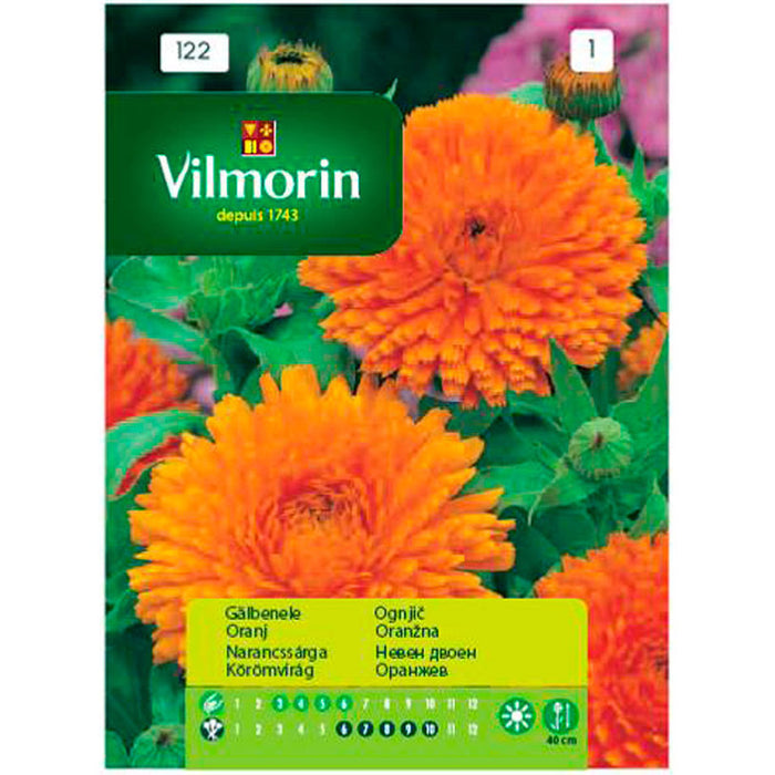 SEED CALLEDULA VILMORIN