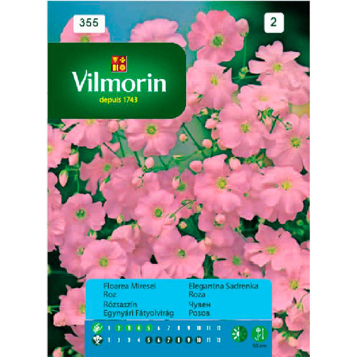 FAMOUS PINK VILMORIN SEEDS