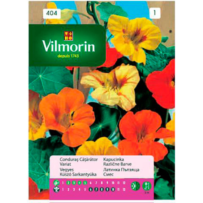 LATIN CREEPING VILMORIN SEEDS