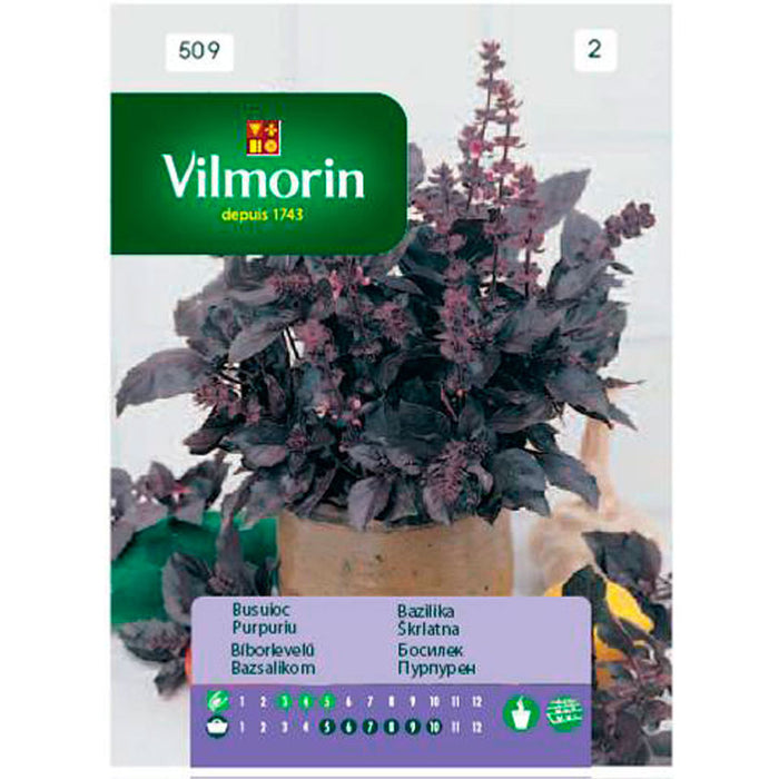RED VILMORIN BASIL SEEDS