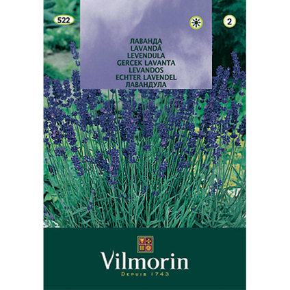 VILMORIN LAVENDER SEEDS
