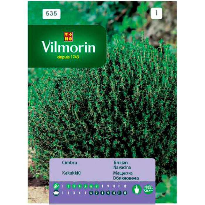 VILMORIN THYME SEEDS
