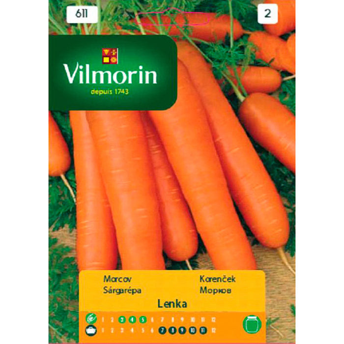 VILMORIN CARROT FLANGE SEEDS