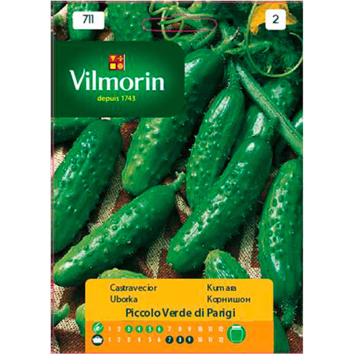 CORNICHON VILMORIN SEEDS