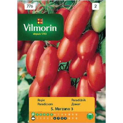 SAN MARZANO TOMATO SEEDS VILMORIN