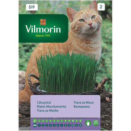 CAT GARDEN/VALERIAN SEEDS VILMORIN
