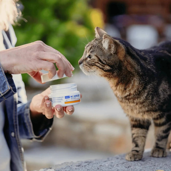 VIRBAC Movoflex Joints - dietary supplements for cats -  30 pcs