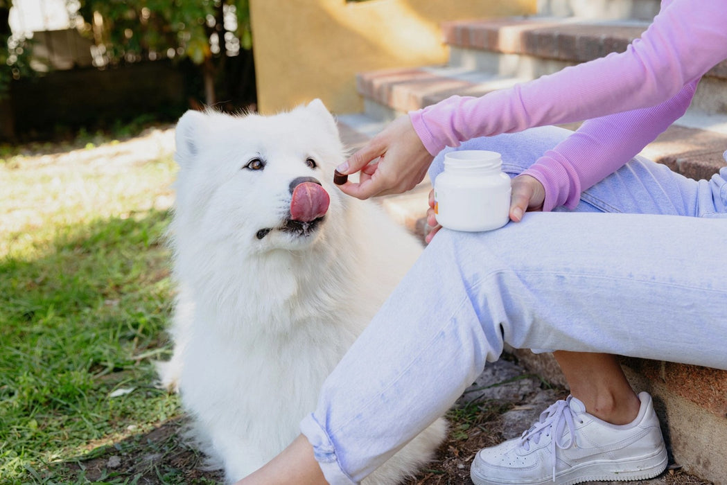 VIRBAC Movoflex M Joints - supplements for dogs -  30 pcs