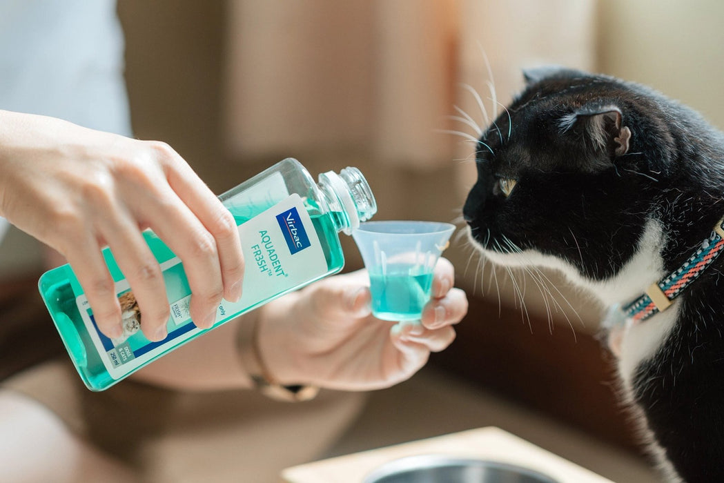 VIRBAC Vet Aquadent FR3SH - dental solution for oral hygiene for dogs and cats – 250ml