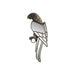 Wall Decoration Home ESPRIT Golden Modern Parrot 18,5 X 5,5 X 49,5 CM - Декорация и Осветление<<<Дом