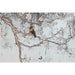 Wall mirror Home ESPRIT Black Golden Oriental 60 x 4 x 120 cm - Огледала<<<Декорация и Осветление<<<Дом Градина<<<BigBuy