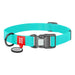 Waterproof glowing dog collar with QR passport WAUDOG 40 mm wide 46-70 cm long - Walking