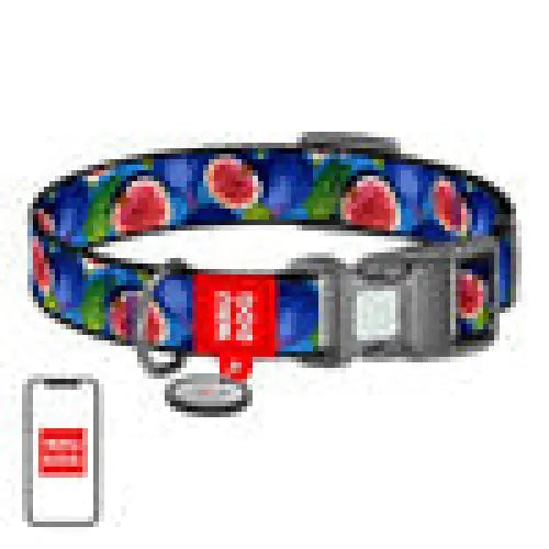 Waudog ’Fig’ nylon dog collar with QR code size S - Walking and transportation<<<Pets<<<InnproXML