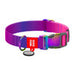 Waudog gradient nylon dog collar with QR code purple size XL - Walking and transportation<<<Pets<<<InnproXML