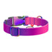 Waudog gradient nylon dog collar with QR code purple size XL - Walking and transportation<<<Pets<<<InnproXML