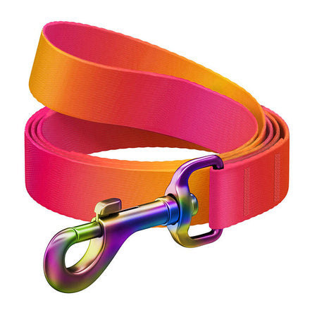 WAUDOG gradient nylon dog leash 15mm wide 122cm long orange - Walking and transportation<<<Pets<<<InnproXML