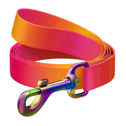 WAUDOG gradient nylon dog leash 15mm wide 122cm long orange - Walking and transportation<<<Pets<<<InnproXML