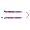 WAUDOG gradient nylon dog leash length 122cm purple - Walking and transportation<<<Pets<<<InnproXML