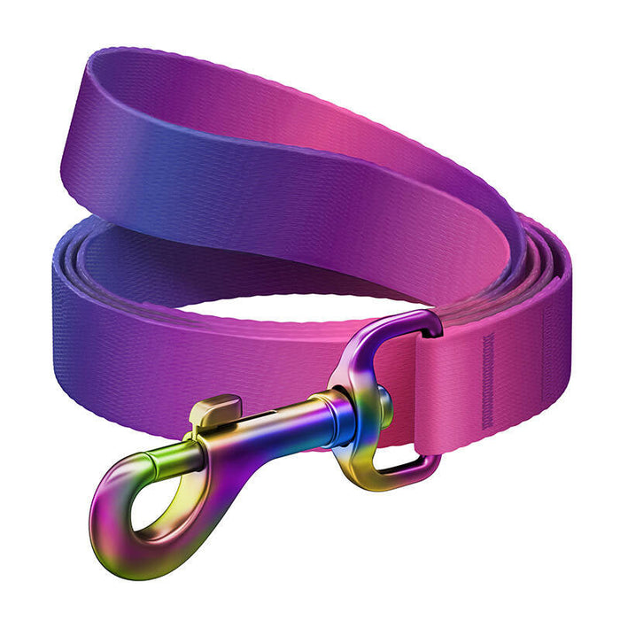 WAUDOG gradient nylon dog leash length 122cm purple - Walking and transportation<<<Pets<<<InnproXML