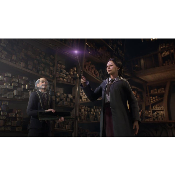 Hogwarts Legacy Game (PS5)
