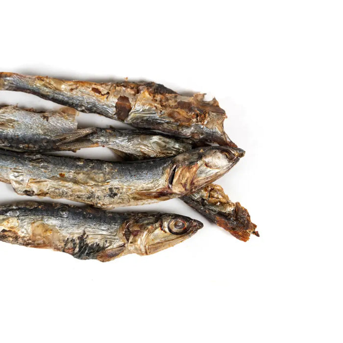Wet food Snackys Fish - Домашни Животни<<<Дом Градина<<<BigBuy&&&Хранене на домашни любимци<<<Домашни Животни<<<Дом
