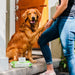 Wet Wipes for Pets Earth Rated Perfume free 100 Units - Домашни Животни<<<Дом Градина<<<BigBuy&&&Здраве и