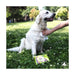 Wet Wipes for Pets GILL’S XL 30 x 20 cm 40 Units - Домашни Животни<<<Дом Градина<<<BigBuy&&&Здраве и хигиена<<<Домашни