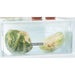 Whirlpool ART 66102 Built-in 273 L E White - Built-in refrigerators and freezers (refrigerators)AGD-LOZ<<<Home