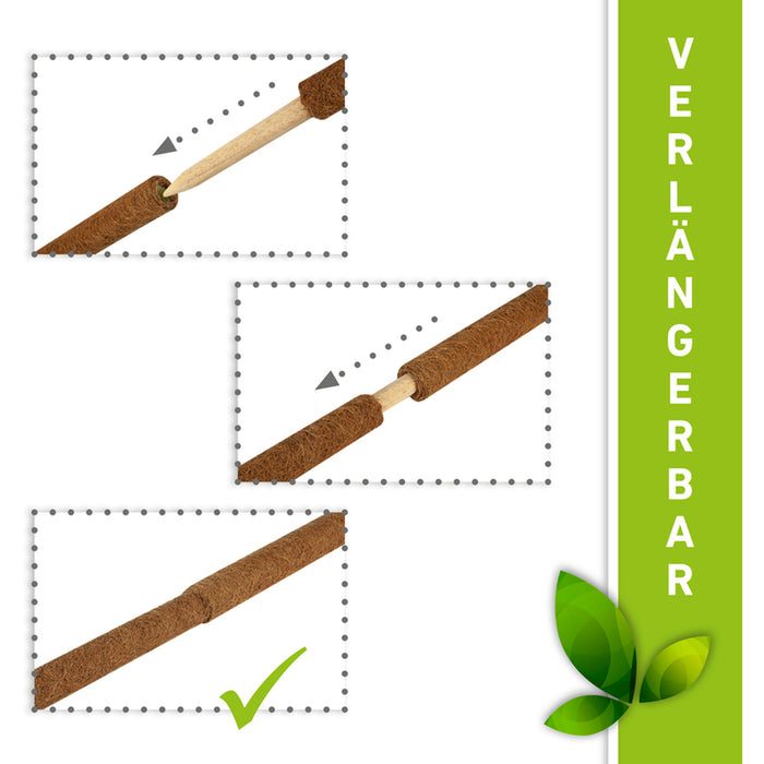 COCONUT RODS FOR CLIMBING PLANTS WINDHAGER