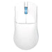 WIRELESS MOUSE DEFENDER FAME GM-516 RF + BT 10000DPI 6P WHITE - Gaming mouseGAM-MYS<<<PC GamingGAM<<<ActionPL