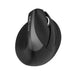 Wireless Vertical Mouse Delux M618Mini BT + 2.4G RGB 4000DPI (Iron Gray) - Vertical mice<<<Mice<<<Gaming<<<InnproXML