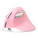 Wireless Vertical Mouse Delux M618Mini DB BT + 2.4G 2400DPI (pink) - Vertical mice<<<Mice<<<Gaming<<<InnproXML
