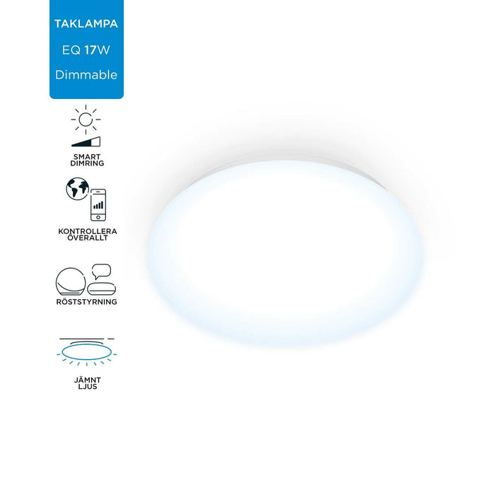 Ceiling Light Wiz White