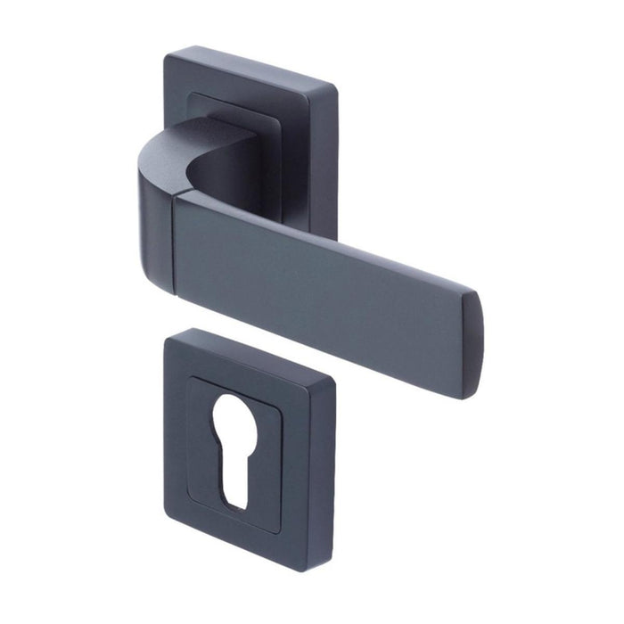 YALE BOLOGNA DOOR HANDLE