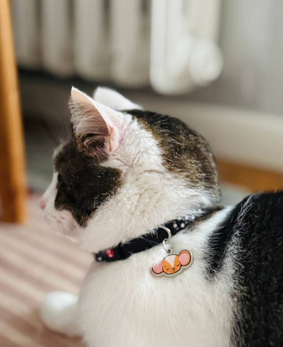 ZOLUX Chatouille black - cat collar