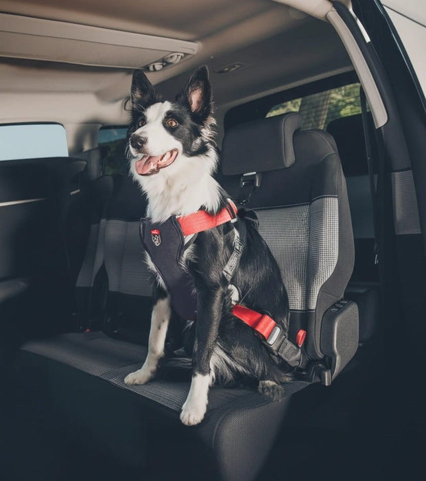 ZOLUX Travel Safe M red - dog harness