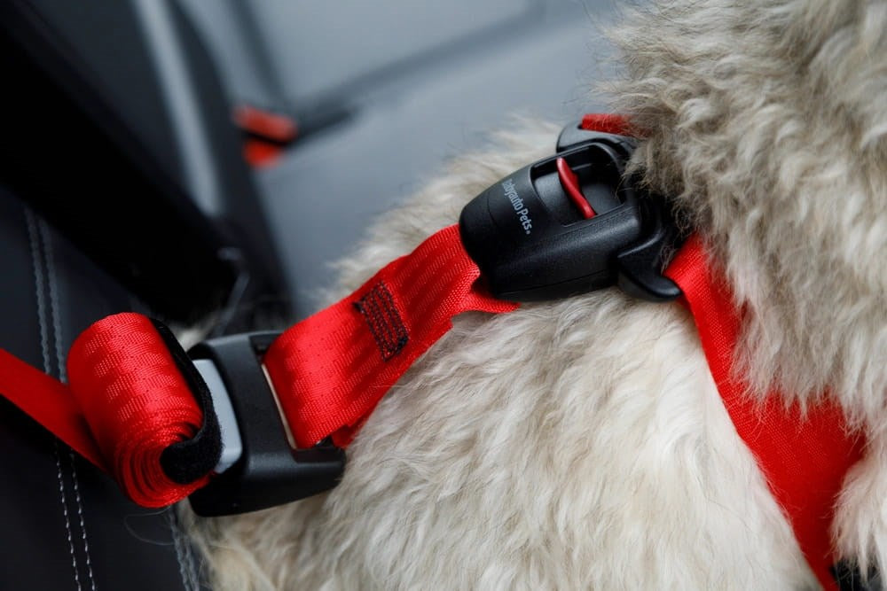 ZOLUX Travel Safe S red - dog harness