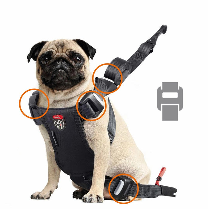 ZOLUX Travel Safe M black - dog harness